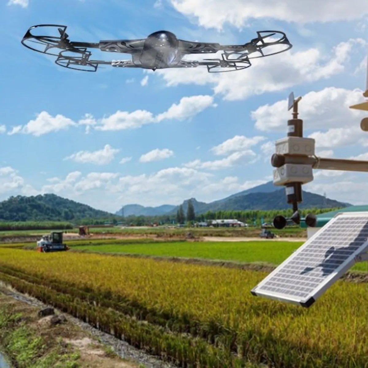 芒果视频 - 无人机在芒果果园上空执行巡检任务