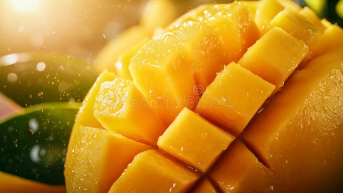 芒果视频 - 新鲜芒果营养价值解析